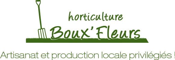 Logo Boux Fleurs